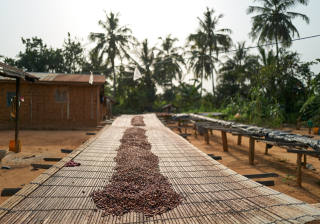 Cocoa Sustainability Guide: Getting Started | Barry Callebaut